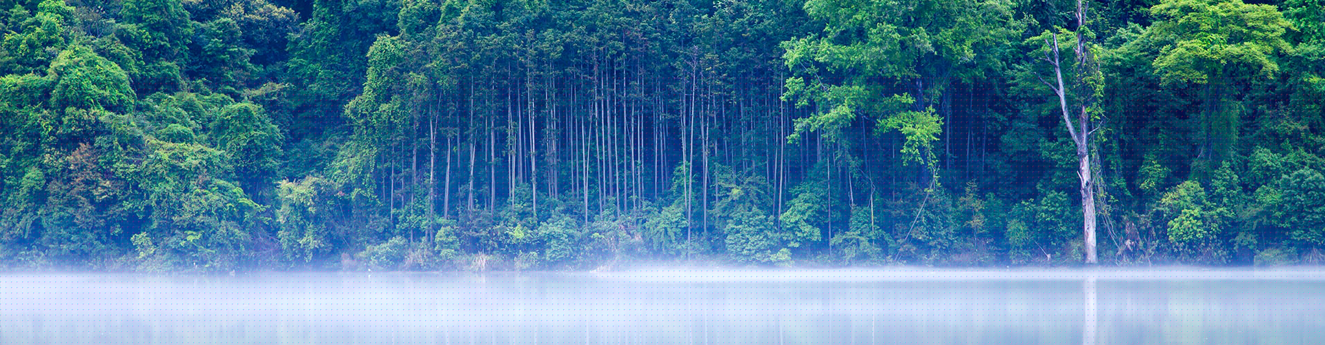 首頁(yè)輪播圖